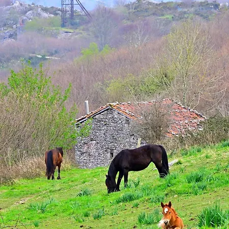 La Cueva - Onis * Avín