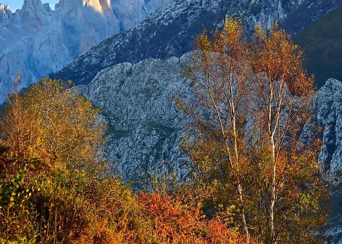 La Cueva - Onis Avín