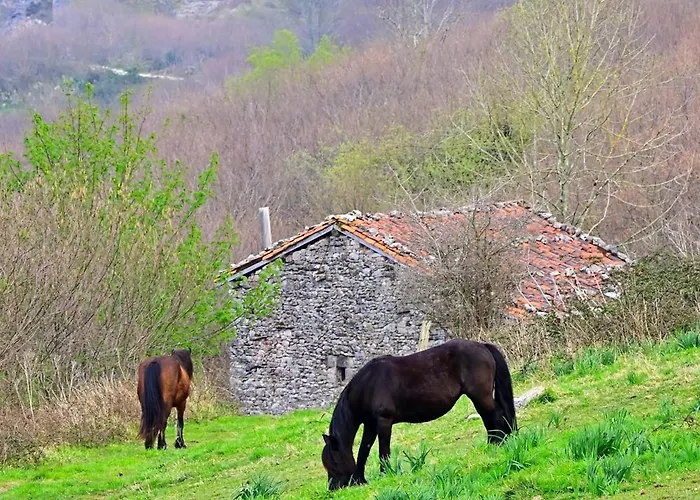 La Cueva - Onis * Avín
